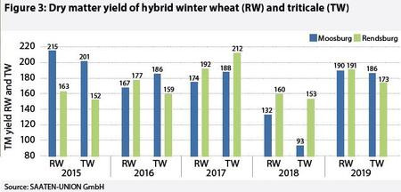 Dry matter yield of winter rye (RW) and triticale (TW)