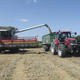 Challenges of the low cereal prices – optimising success factors