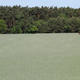 Rye shows advantages in regard to climate change