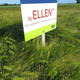 SU ELLEN