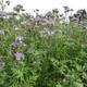 Optimise nutrient availability = Improve fertilisation balance