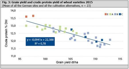 Fig. 3: Grain yield and crude protein yield of wheat varieties 2015